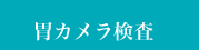 胃カメラ検査
