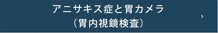 アニサキス症と胃カメラ（胃内視鏡検査）
